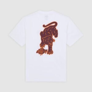 Dickies Graysville t-shirt white