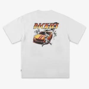 Dickies Nashport Pitt short sleeve tee white