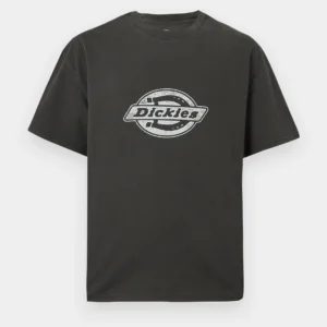 Dickies Plainville t-shirt washed black