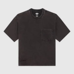 Dickies Baker short sleeve pocket tee black